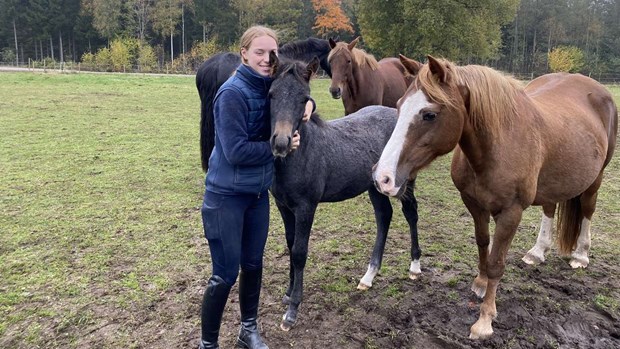 Pauline sadlade om – hittade sporten som växer snabbt Pauline sadlade om – hittade sporten som växer snabbt
