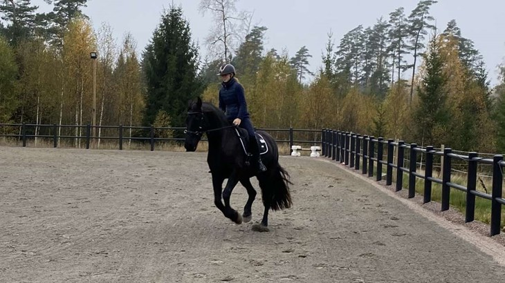 Pauline Romberg tävlade i fälttävlan och hoppning men en otäck olycka 2018 satte djupa spår och var en av anledningarna till att Pauline gick över till en annan gren i ridningen: WE. Foto: Carina Nilsson