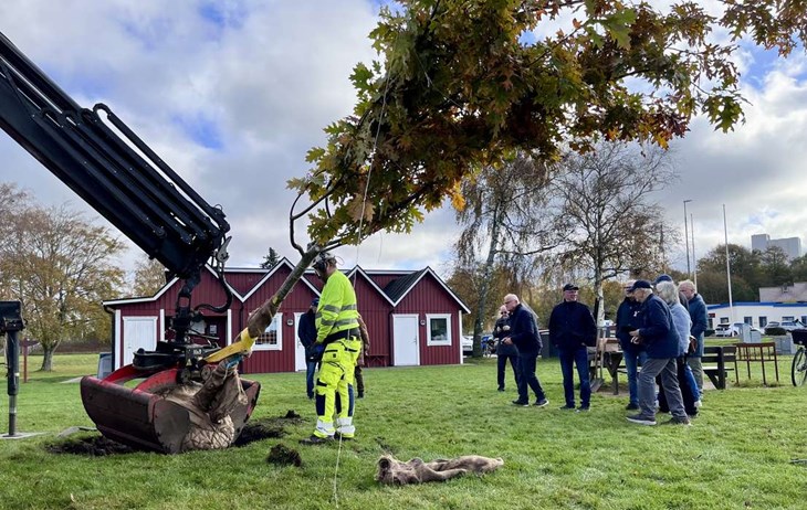 Rödeken hamnar i gropen. Foto: Johan Jönsson