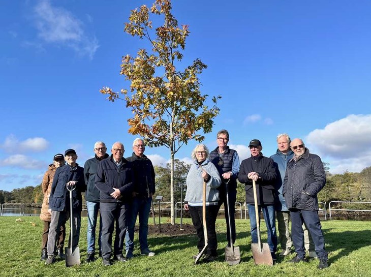 Laholm-Höks Rotaryklubb har skänkt ett träd till Laholms kommun som en markering av klubbens 70-årsjubileum. Foto: Johan Jönsson